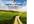 give you my Daily Good Vibrations Activity Book and 30 Min Coaching call