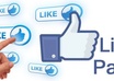 Facebook likes