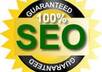 create 200 Social Bookmarks + 5000 Wikis + Linklicious Submission + Full Report /// Best SEO service on Fiverr